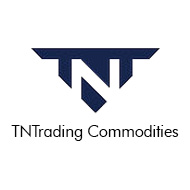 TNT Trading Brazil